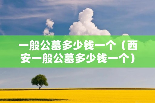一般公墓多少钱一个（西安一般公墓多少钱一个）