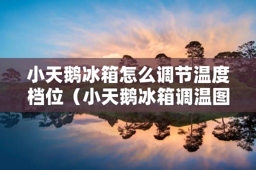 小天鹅冰箱怎么调节温度档位(小天鹅冰箱调温图解)