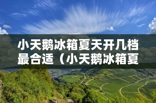 小天鹅冰箱夏天开几档最合适(小天鹅冰箱夏天开几档最合适)