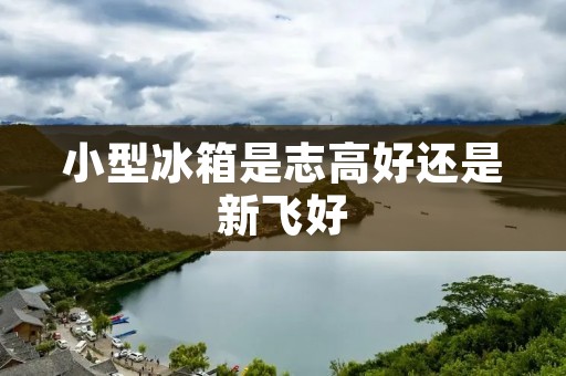 小型冰箱是志高好还是新飞好