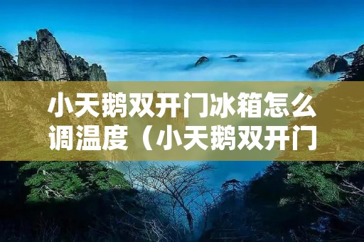小天鹅双开门冰箱怎么调温度(小天鹅双开门冰箱怎么调温度视频教程)