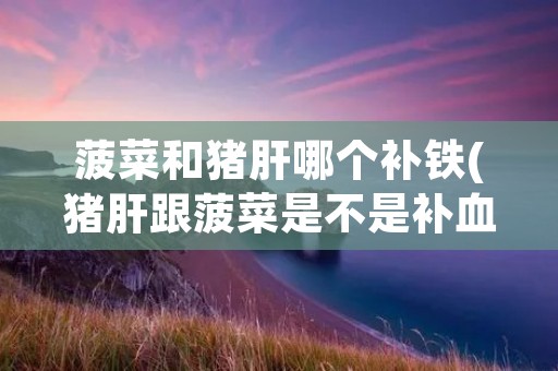 菠菜和猪肝哪个补铁(猪肝跟菠菜是不是补血的)