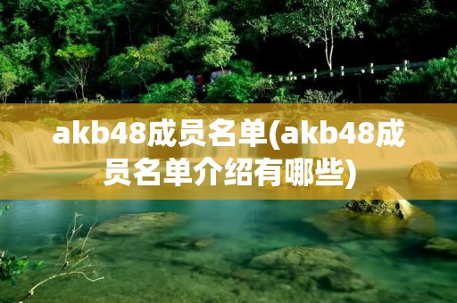 akb48成员名单(akb48成员名单介绍有哪些)
