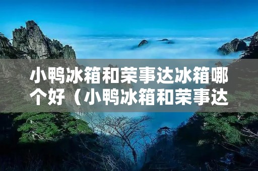 小鸭冰箱和荣事达冰箱哪个好(小鸭冰箱和荣事达冰箱哪个好一点)