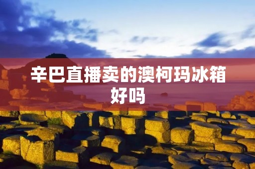 辛巴直播卖的澳柯玛冰箱好吗