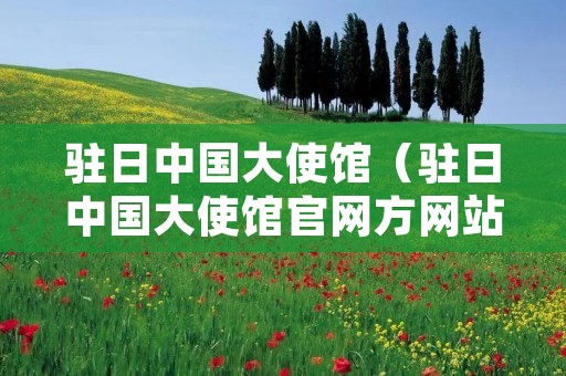 驻日中国大使馆(驻日中国大使馆官网方网站)
