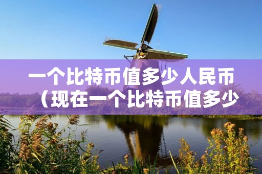 一个比特币值多少人民币(现在一个比特币值多少人民币) 一个比特币值多少人民币(现在一个比特币值多少人民币)