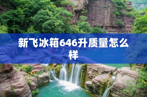 新飞冰箱646升质量怎么样