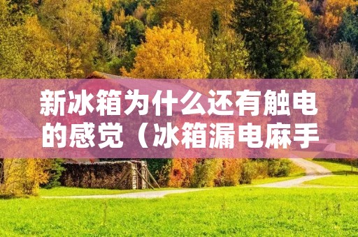新冰箱为什么还有触电的感觉(冰箱漏电麻手还能不能用)
