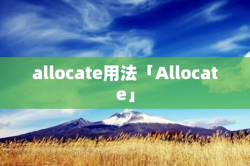allocate用法「Allocate」