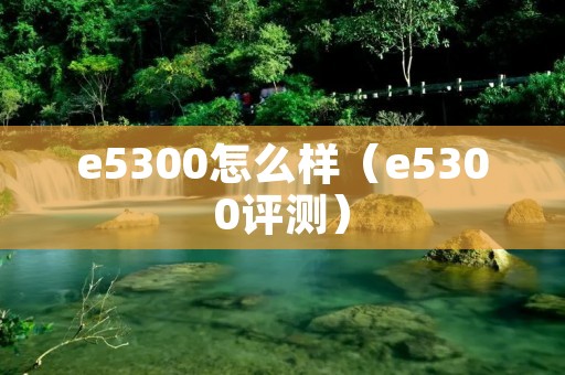 e5300怎么样（e5300评测）