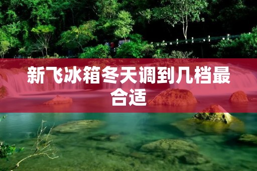 新飞冰箱冬天调到几档最合适