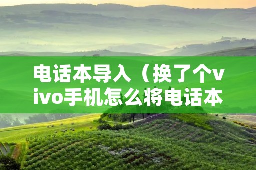 **本导入（换了个vivo手机怎么将**本导入）