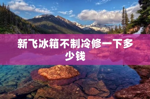 新飞冰箱不制冷修一下多少钱