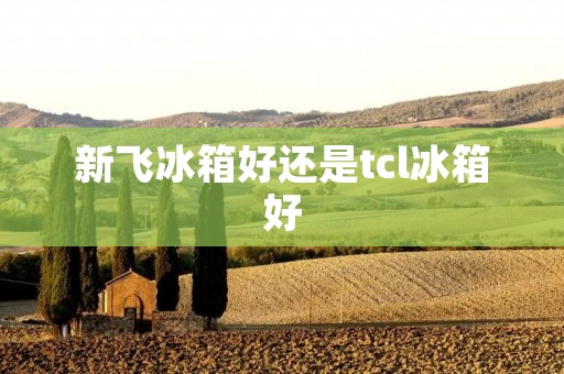新飞冰箱好还是tcl冰箱好