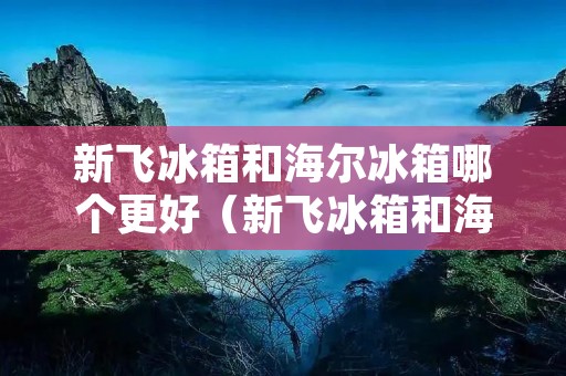 新飞冰箱和海尔冰箱哪个更好（新飞冰箱和海尔冰箱哪个更好一点）