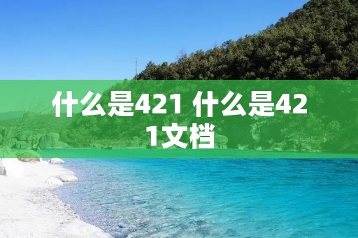 什么是421 什么是421文档
