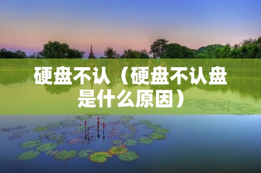 硬盘不认(硬盘不认盘是什么原因) 硬盘不认(硬盘不认盘是什么原因)