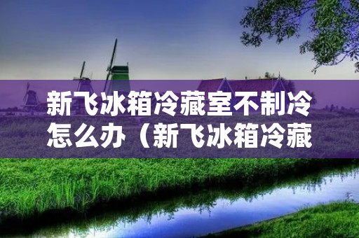 新飞冰箱冷藏室不制冷怎么办(新飞冰箱冷藏室不制冷怎么办呢)