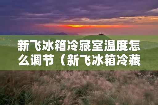 新飞冰箱冷藏室温度怎么调节(新飞冰箱冷藏室温度怎么调节的)