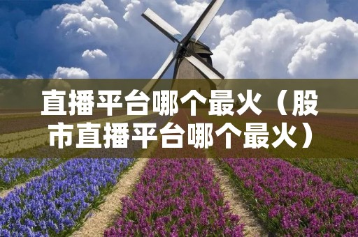 直播平台哪个最火(股市直播平台哪个最火) 直播平台哪个最火(股市直播平台哪个最火)