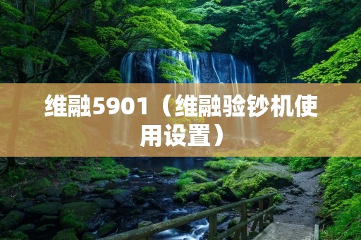 维融5901（维融验钞机使用设置）