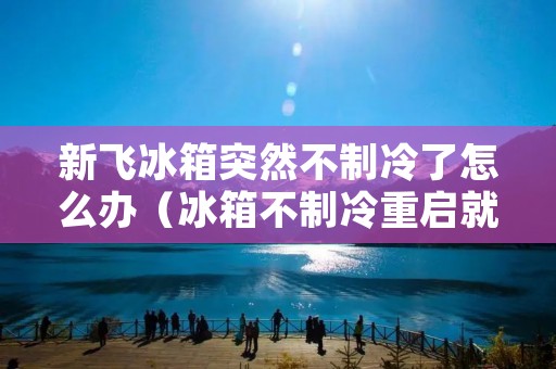 新飞冰箱突然不制冷了怎么办(冰箱不制冷重启就好了)
