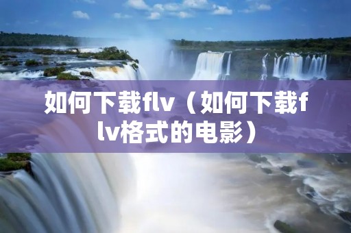 如何下载flv(如何下载flv格式的电影) 如何下载flv(如何下载flv格式的电影)