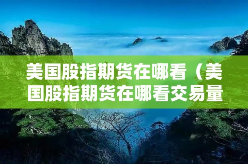美国股指期货在哪看（美国股指期货在哪看交易量）