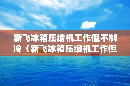 新飞冰箱压缩机工作但不制冷(新飞冰箱压缩机工作但不制冷怎么办)