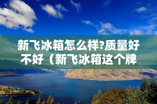 新飞冰箱怎么样?质量好不好(新飞冰箱这个牌子怎么样)