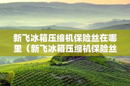 新飞冰箱压缩机保险丝在哪里(新飞冰箱压缩机保险丝图解)
