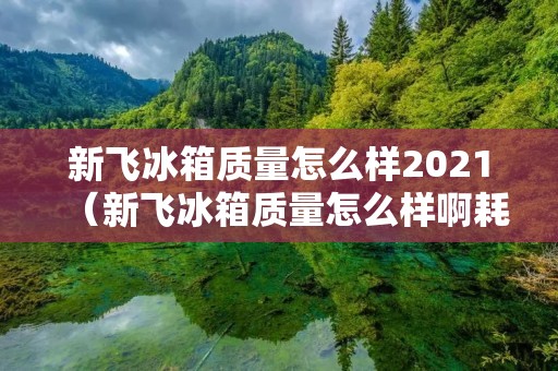 新飞冰箱质量怎么样2021(新飞冰箱质量怎么样啊耗电大吗)