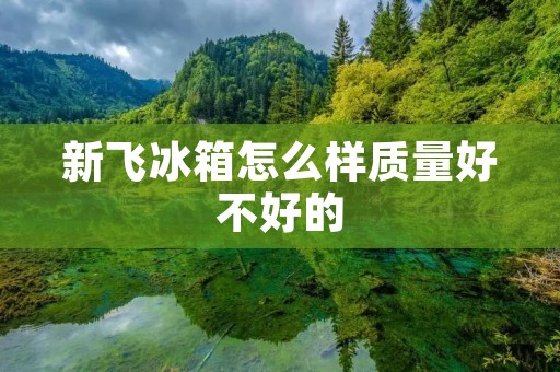 新飞冰箱怎么样质量好不好的