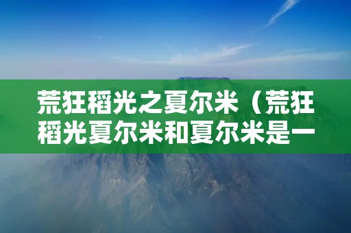 荒狂稻光之夏尔米（荒狂稻光夏尔米和夏尔米是一个人吗）