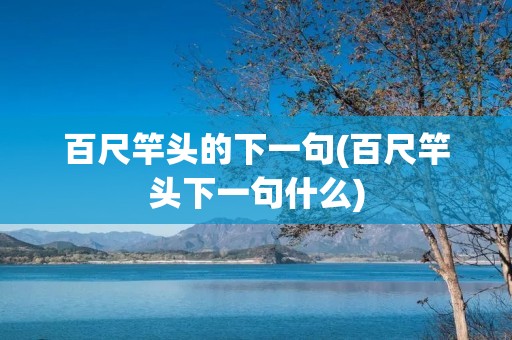 百尺竿头的下一句(百尺竿头下一句什么)