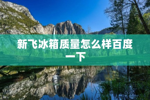 新飞冰箱质量怎么样百度一下