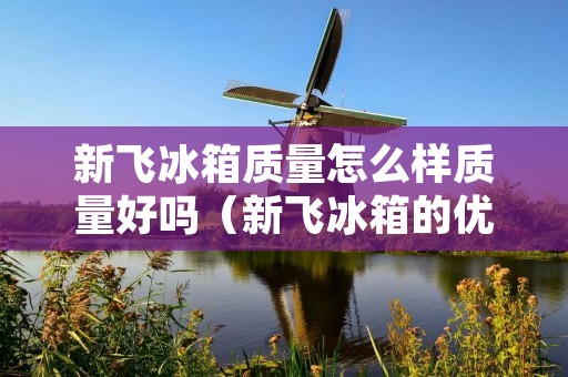 新飞冰箱质量怎么样质量好吗(新飞冰箱的优点和缺点)
