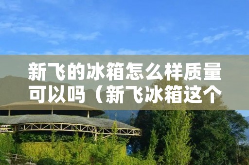 新飞的冰箱怎么样质量可以吗(新飞冰箱这个牌子怎么样)