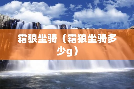 霜狼坐骑（霜狼坐骑多少g）