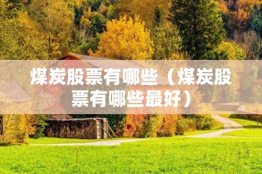 煤炭股票有哪些（煤炭股票有哪些最好）