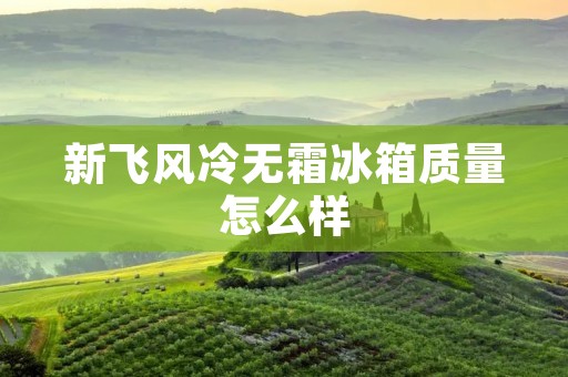 新飞风冷无霜冰箱质量怎么样