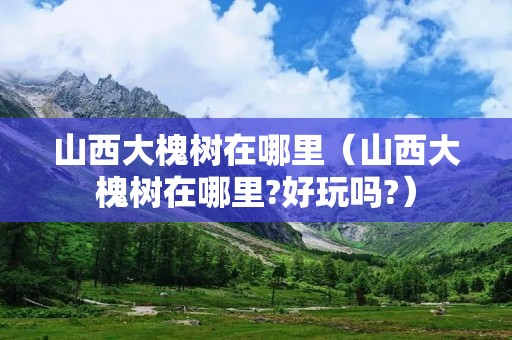 山西大槐树在哪里（山西大槐树在哪里?好玩吗?）