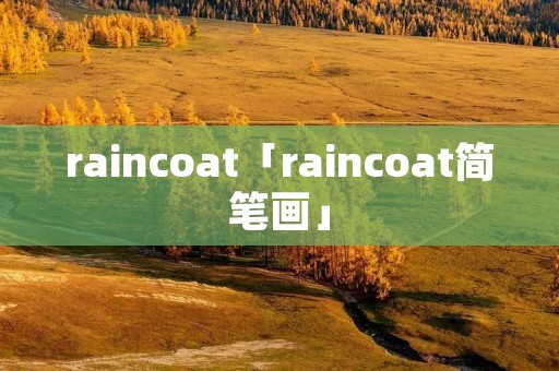 raincoat「raincoat简笔画」