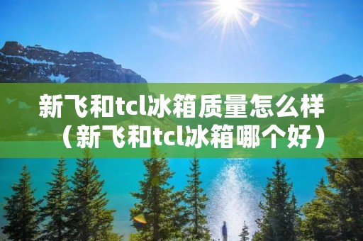 新飞和tcl冰箱质量怎么样(新飞和tcl冰箱哪个好)
