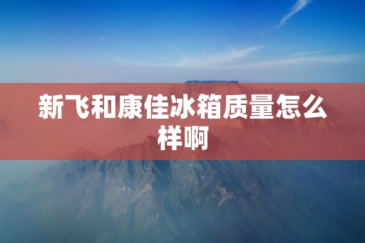 新飞和康佳冰箱质量怎么样啊