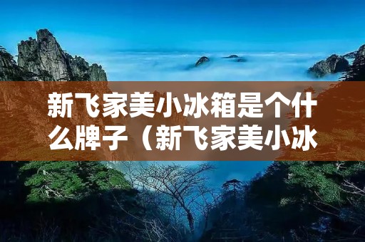 新飞家美小冰箱是个什么牌子(新飞家美小冰箱怎么样)