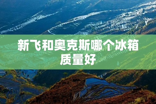 新飞和奥克斯哪个冰箱质量好