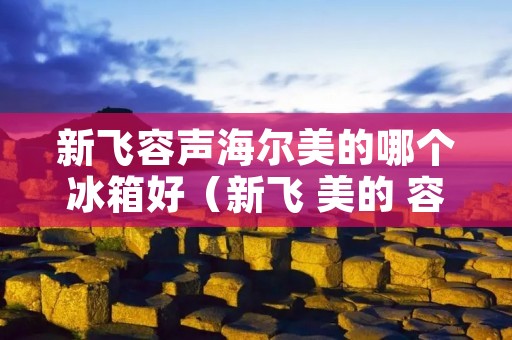 新飞容声海尔美的哪个冰箱好（新飞 美的 容声 冰箱 比较）