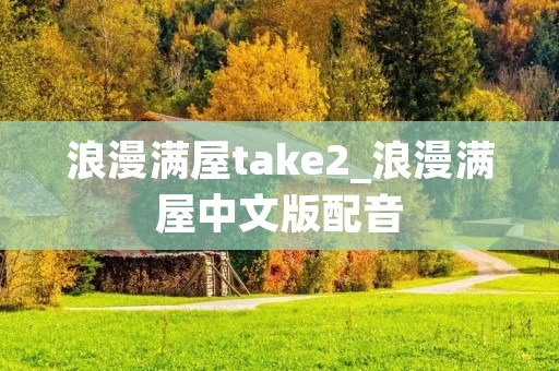 浪漫满屋take2_浪漫满屋中文版配音